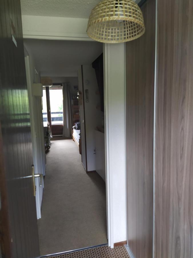 Duplex 3 Pieces. Pieds Des Pistes Et Balcon! Leilighet Gresse-en-Vercors Eksteriør bilde