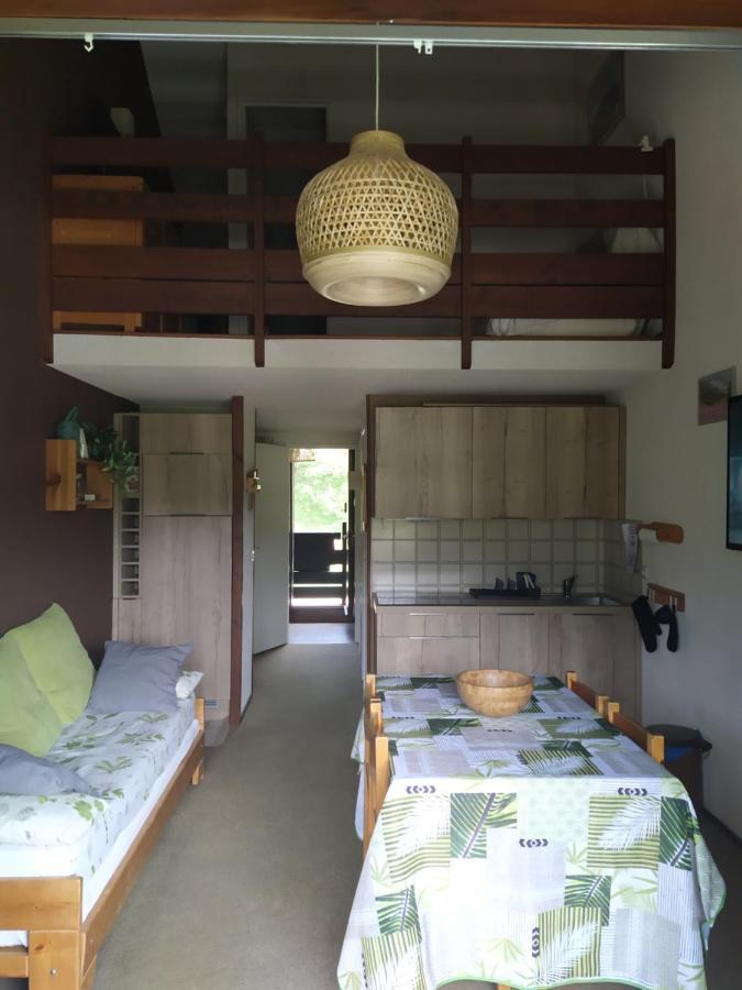 Duplex 3 Pieces. Pieds Des Pistes Et Balcon! Leilighet Gresse-en-Vercors Eksteriør bilde